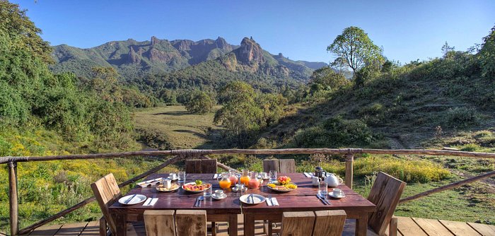 Bale Mountain lodge hotel